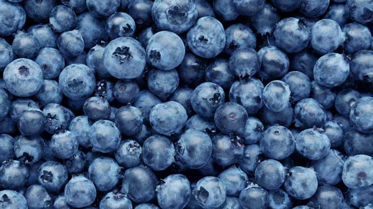 Fruit & Mindfulness (Blueberries)